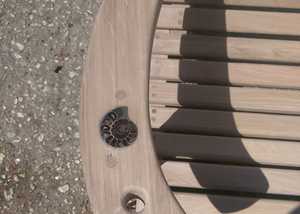 Embedded Ammonites on Garden Swing Seat Arm