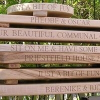 Rope Swing Stack 3.jpg