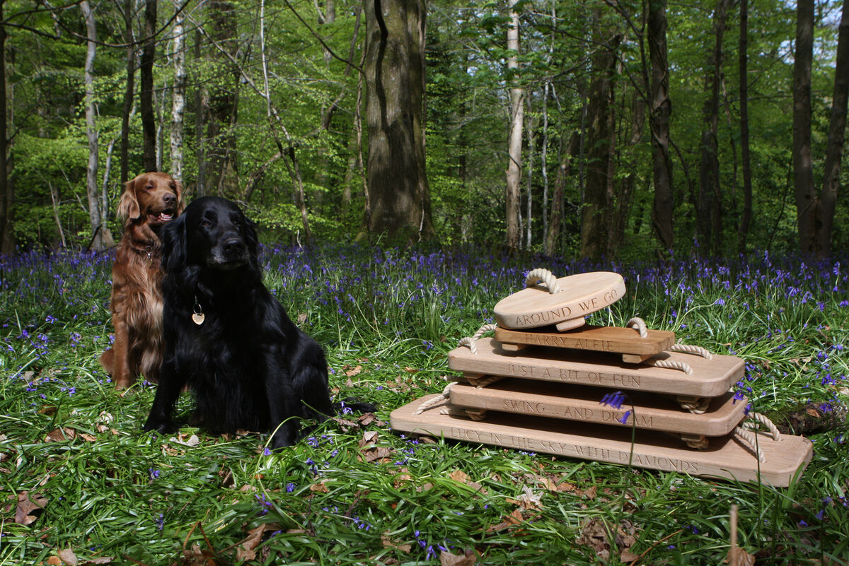bluebell stack with dogs.jpg