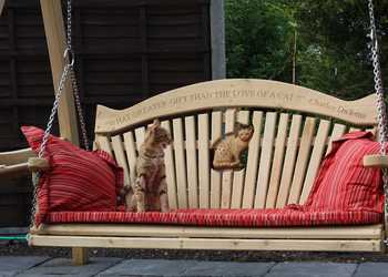 Rope Swing Love Carving