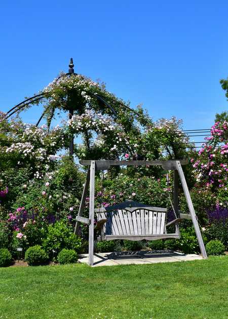 Swing Seat situated in a large garden area Swing Seat situated in a large garden area