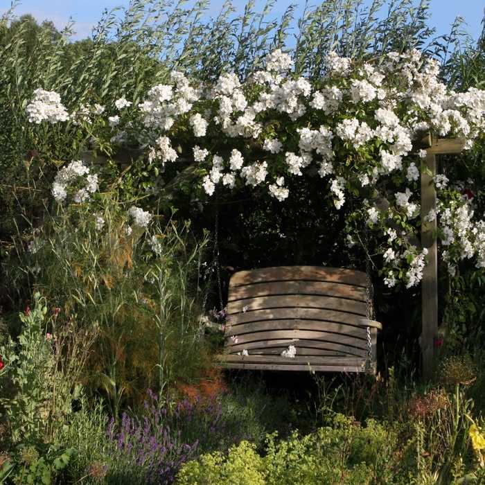 Sitting Spiritually Pergola & Curve Back Swing Seat