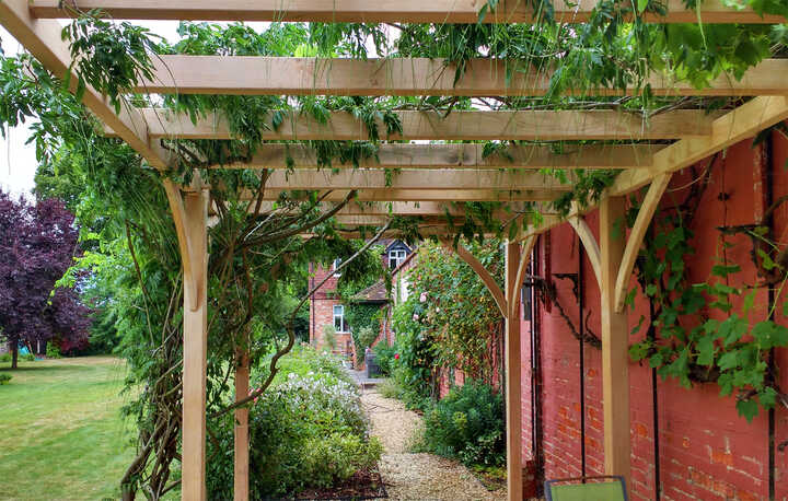 handmade pergola with growing plants