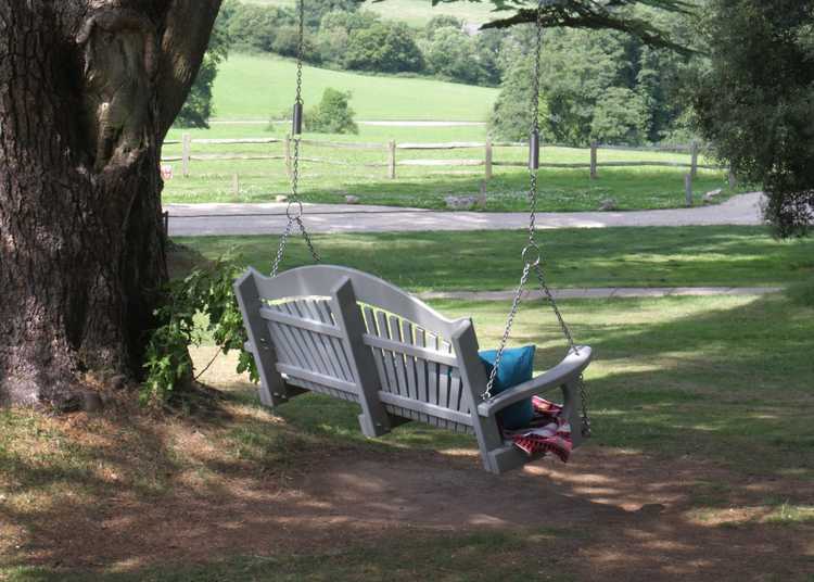A swing seat hanging from a tree looking out over grassland