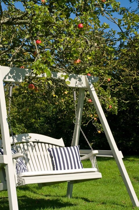 Harmony Swing Seat Apple Tree
