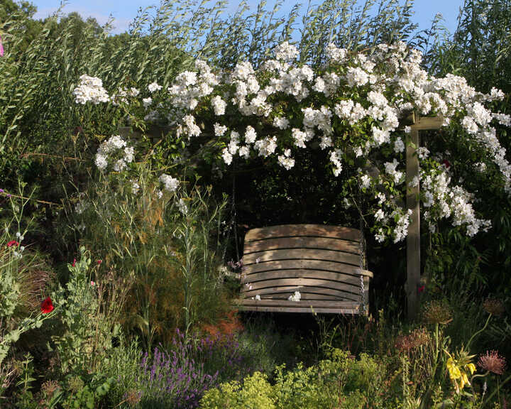 Natural Shade - Fan-Back Tranquillity Swing Seat in Oak with Oak Pergola