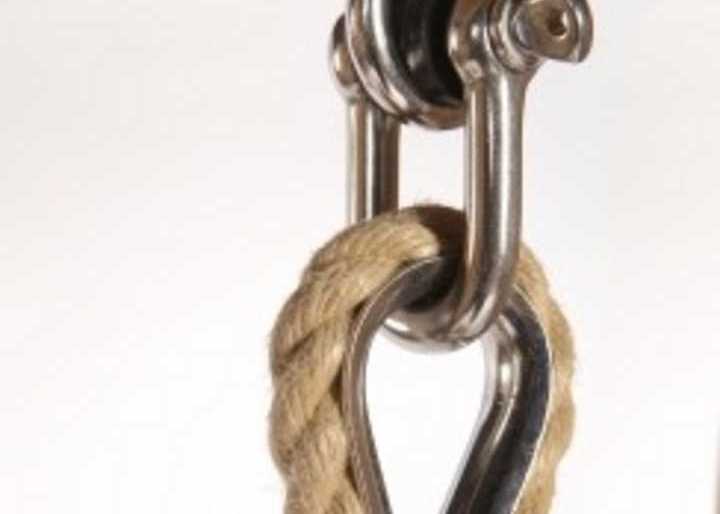 Metal loop used to hang a rope swing