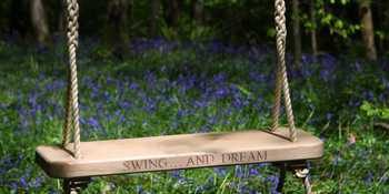 Rope Swings Frequently Asked Questions