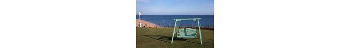 Swing Seat Harmony Painted Pine in Arsenic