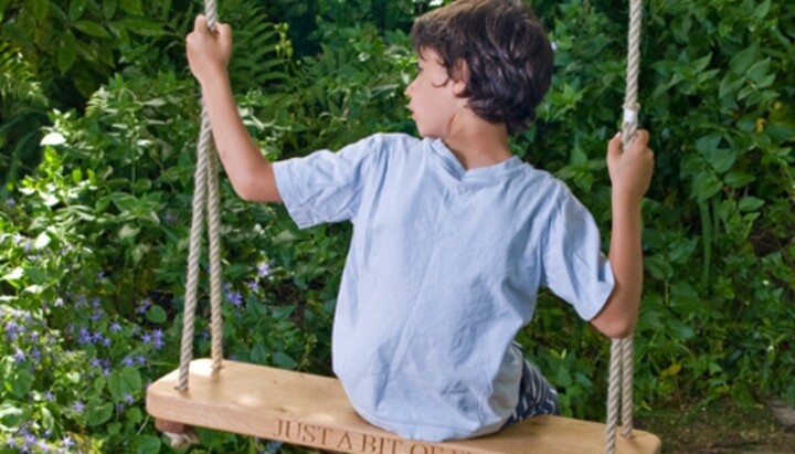 Summer Holidays are approaching, here's why our rope swings are the best....