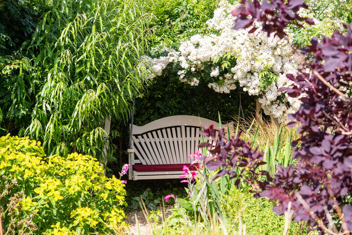 Painted Swing Seat Under Shade of Roses in Garden