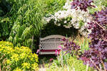 Painted Swing Seat Under Shade of Roses in Garden