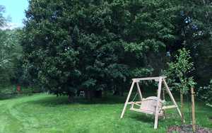 Painted swing seat at RHS Garden Wisley