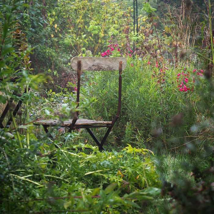 To Stand and Stare garden image To Stand and Stare garden image