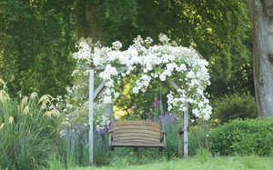 Swing Seat at Forde Abbey with Sun Setting in background